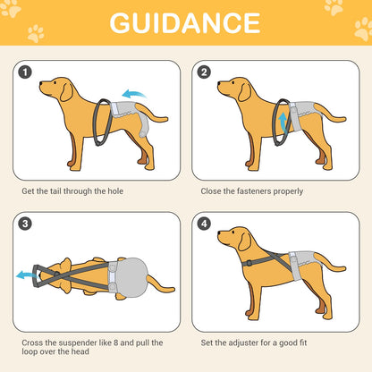 3 Pack Avont Female Dog Nappies with Suspender, Reusable Doggy Diaper Pants for Heat Season Period Incontinence, Washable Sanitary Knickers for Small Medium Large Puppy