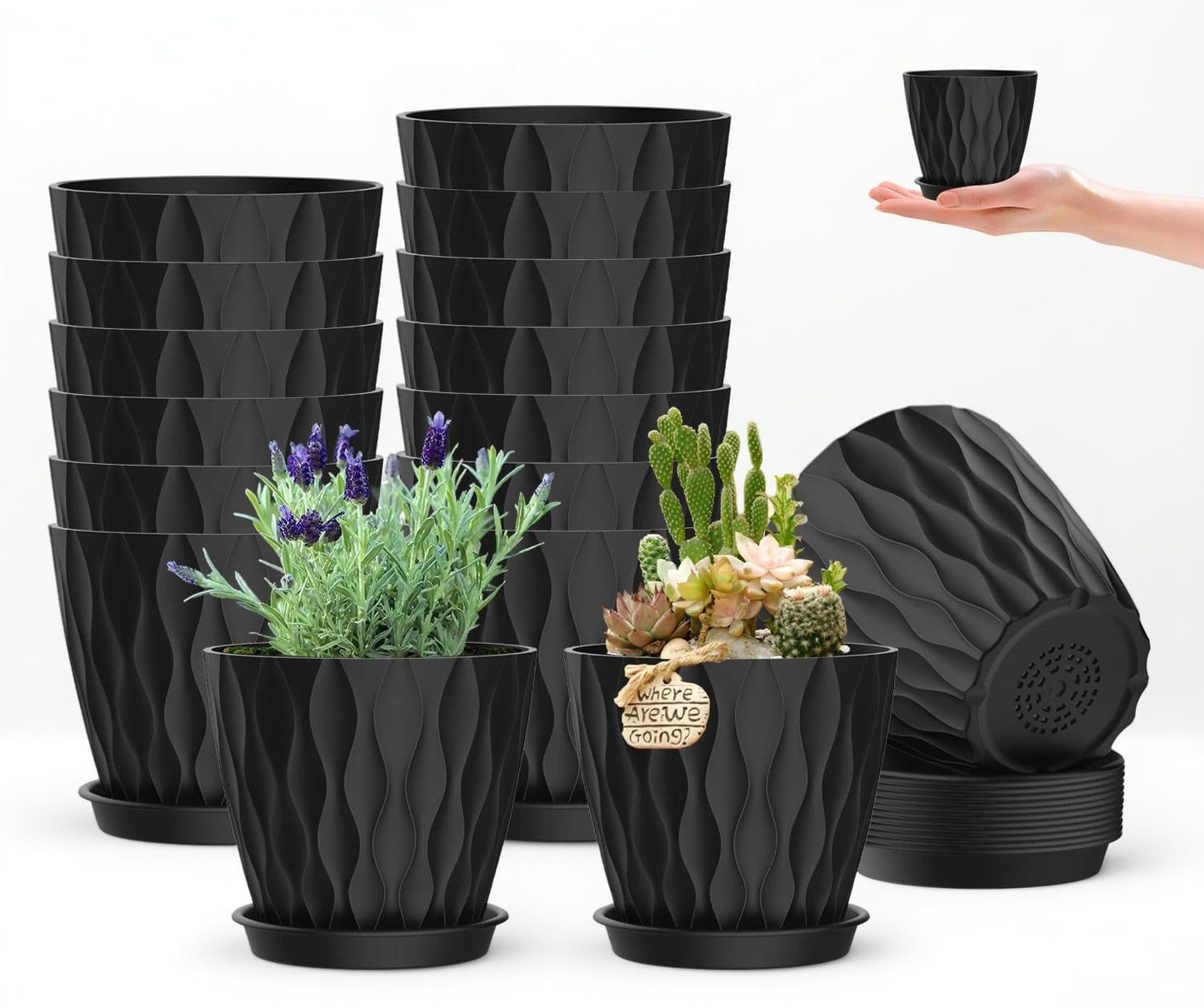 zople 16 Pack 4 Inch Plastic Planter Pots with Tray, Heavy Duty Indoor Outdoor Planter Pots with 48 Drainage Holes for Herbs, Succulents, Seedlings, Flowers Durable and Lightweight Black