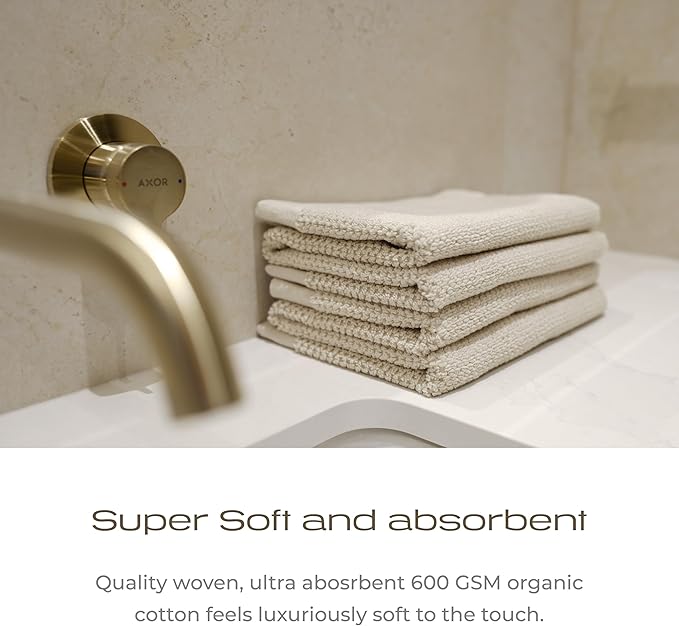 Luxury Silver-Infused Beige Guest Hand Towels 2-Pack Set, 23.6"x17.7"