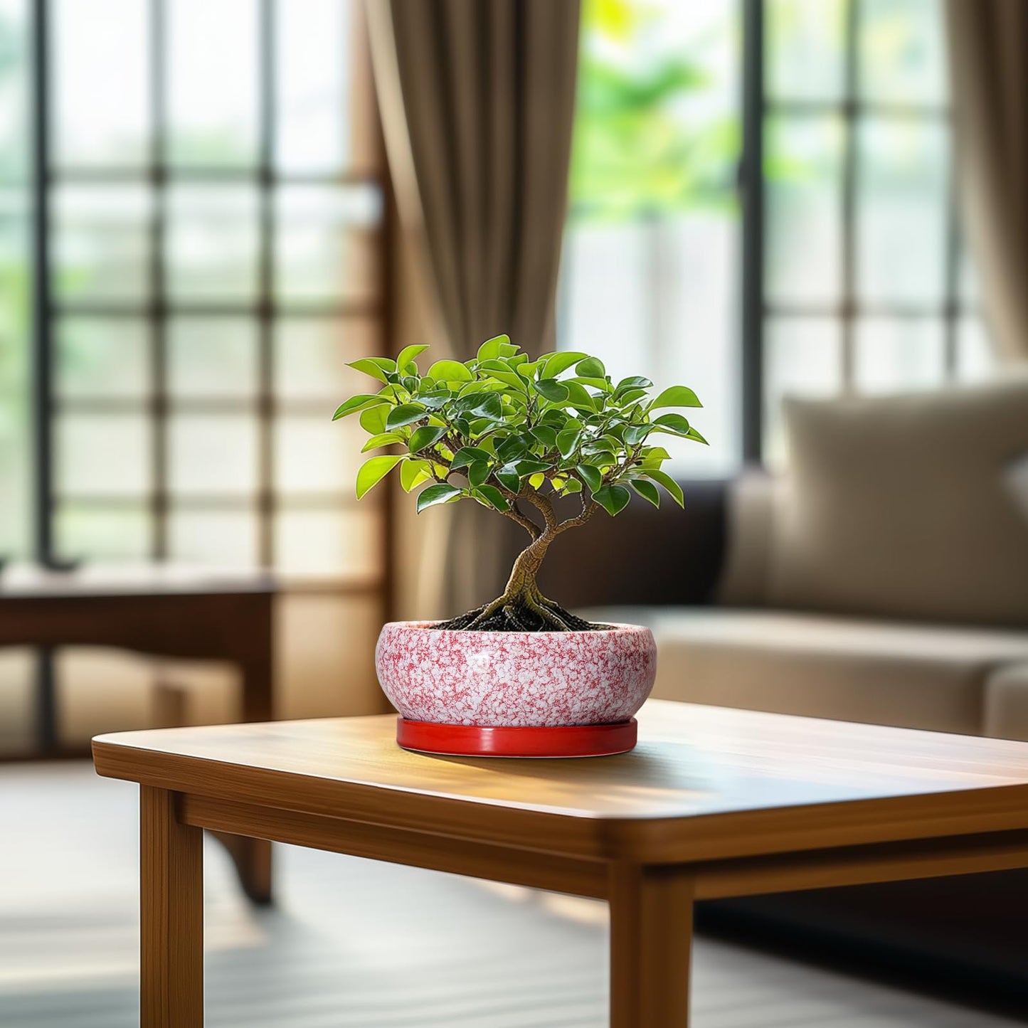 EPFamily Bonsai Pots Small - 6 Inch Ceramic Succulent Pots with Drainage Hole and Ceramic Saucer, Succulent Planters Indoor Outdoor, Shallow Round Planter, Apartment Decor, Housewarming Gifts, Red