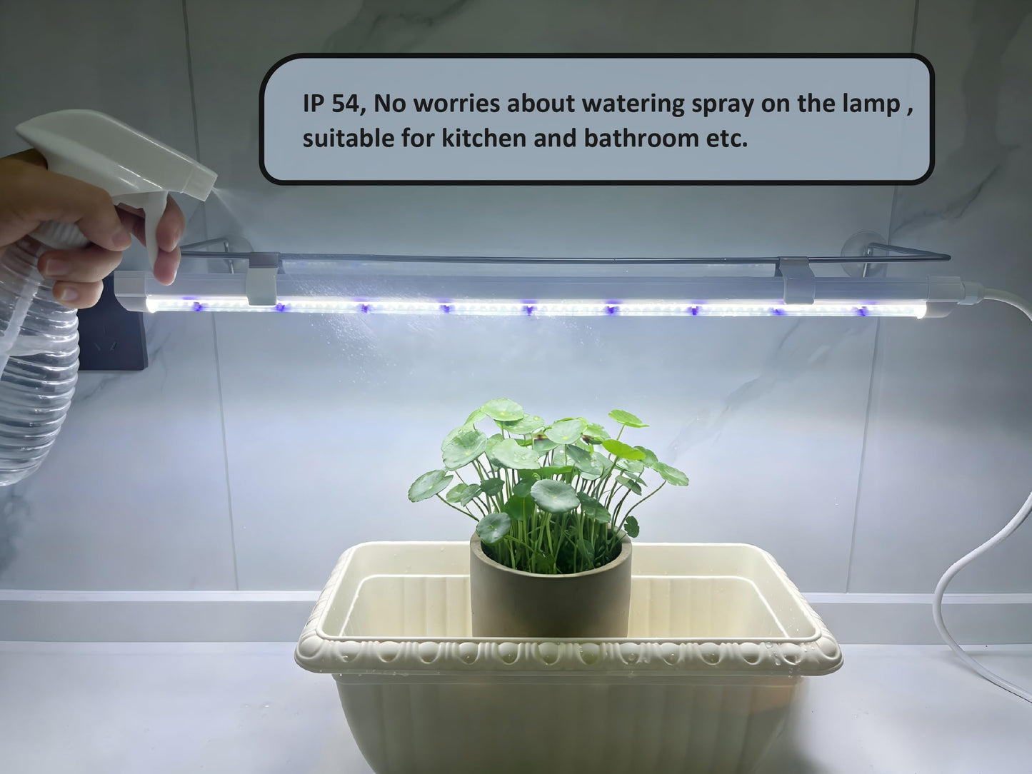 PROTOPIA 2FT Suction Cup Style Plant Grow Light,12W, LED Grow Lamp Fixture on Wall, Seed Starter kit, 6500K Cool White, Enhanced Blue Light, Height Adjustable, Herbs Growing lamp, IP54