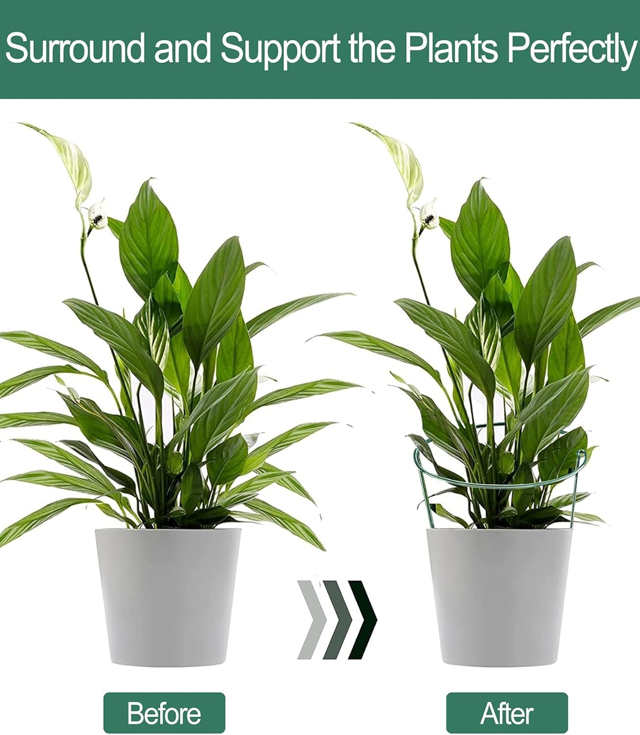 10Pcs 10'' x 16'' Plant Support Stakes, Metal Garden Plant Stakes, Half Round Plant Support Ring Cage for Peonies Monstera Hydrangeas Roses Sedum Vegetables Tomatoes (25×40cm)