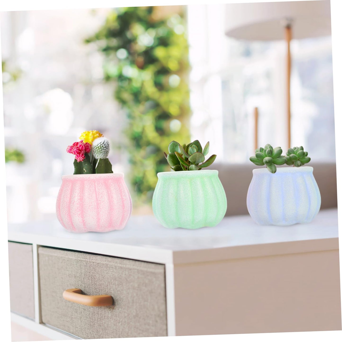 ORFOFE 3Pcs Ceramic Succulent Flower Pots Creative Desktop Decor Stylish Plant Planters for Home Gardening for Plant Lovers
