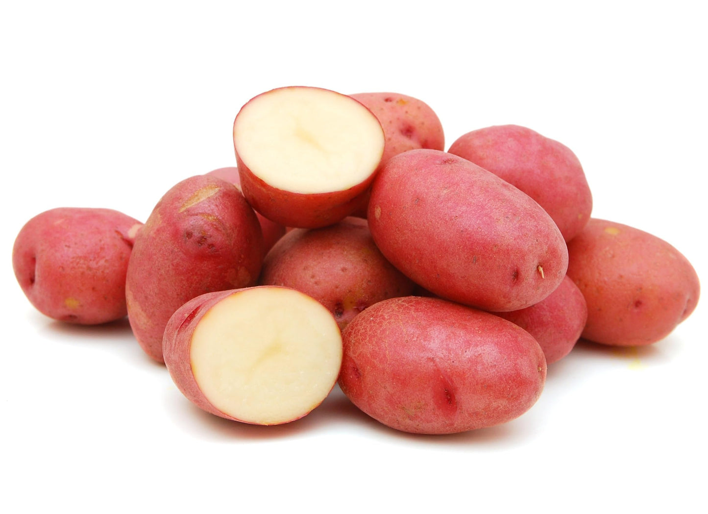 Red Chieftan Seed Potatoes | Vibrant Flesh | Heirloom Variety for Home Gardens | Excellent Yield & Flavor | Non-GMO, Untreated (3 Pounds)