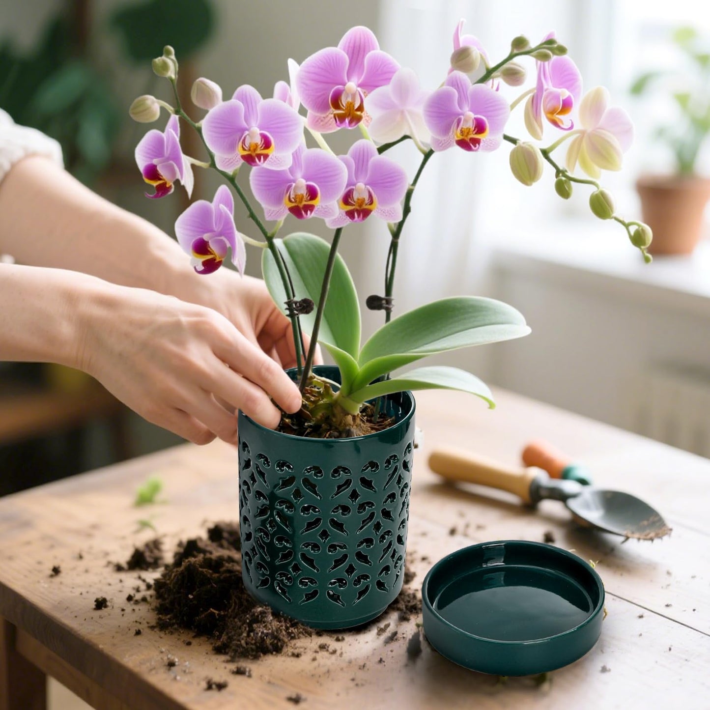 Jucoan 2 Pack Orchid Pots with Holes and Saucer, 4 Inch Ceramic Slotted Orchid Planter Pots for Repotting Indoor Outdoor Plant, Elegant Beige White and Green