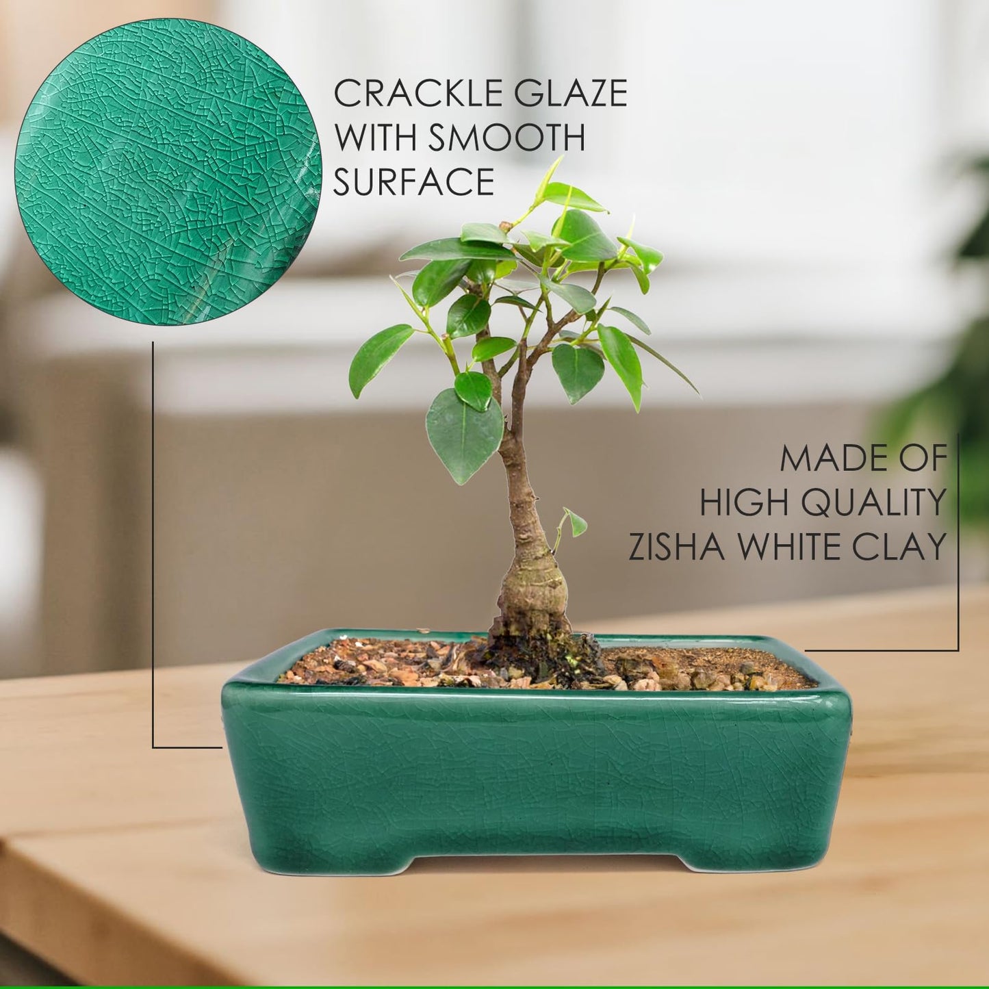 Set of 2 Zisha White Clay Bonsai Pot Glazed Shallow Succulent Planter Green