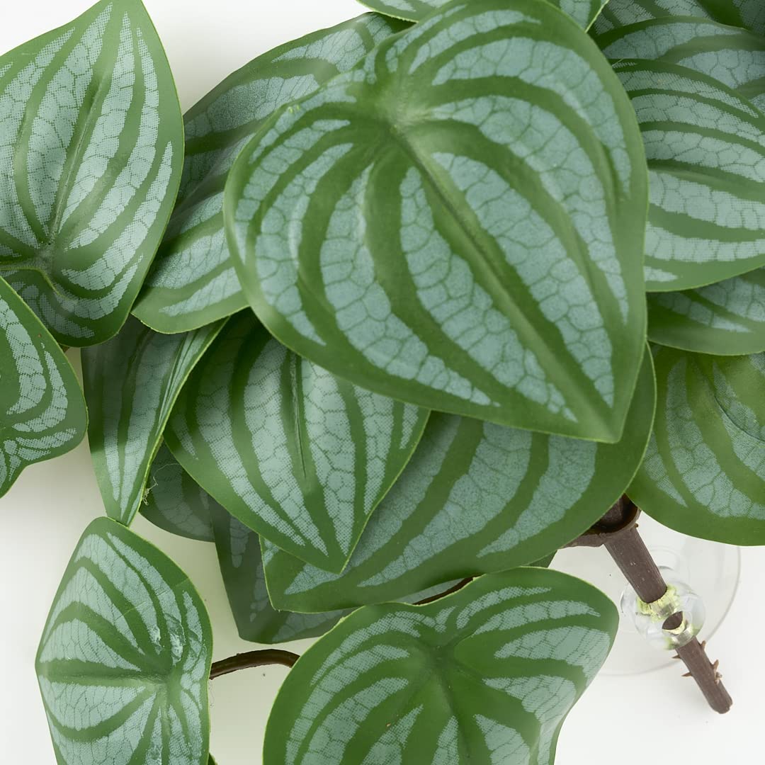 WOLEDOE Reptile Plants for Terrarium, Amphibian Habitat Decor Artificial Hanging Plants with Suction Cup - Fake Calathea Orbifolia