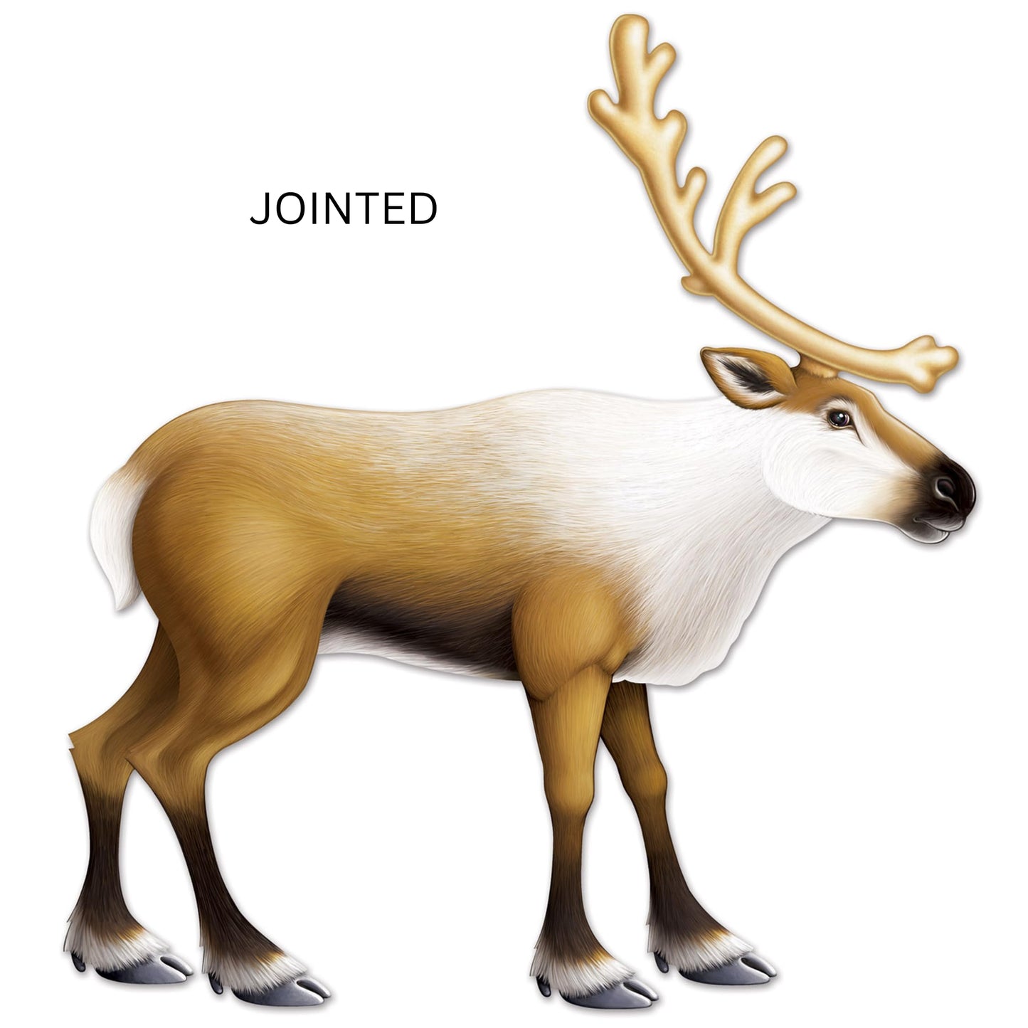 Beistle Jointed Reindeer, Cutout Christmas Decorations & Holiday Wall Decor, Winder Wonderland Wall Display for Xmas Parties & Gatherings, 3’1”