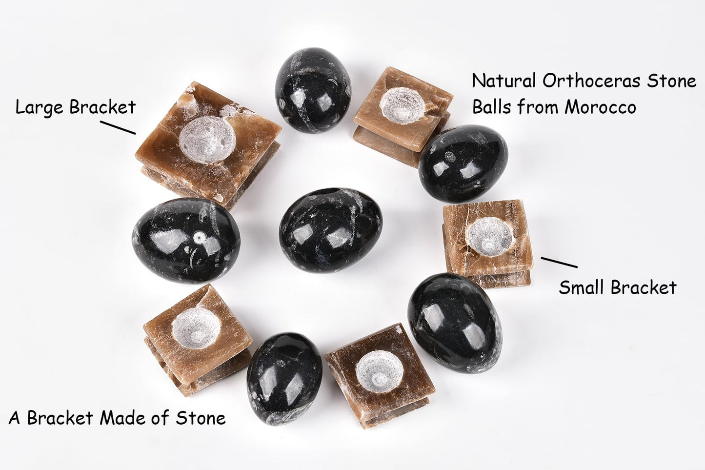 AMOYSTONE Orthoceras Stone Egg Black with Natural Stone Base for Healing Reiki Home Decors Medium, Single Height 2.5-3"