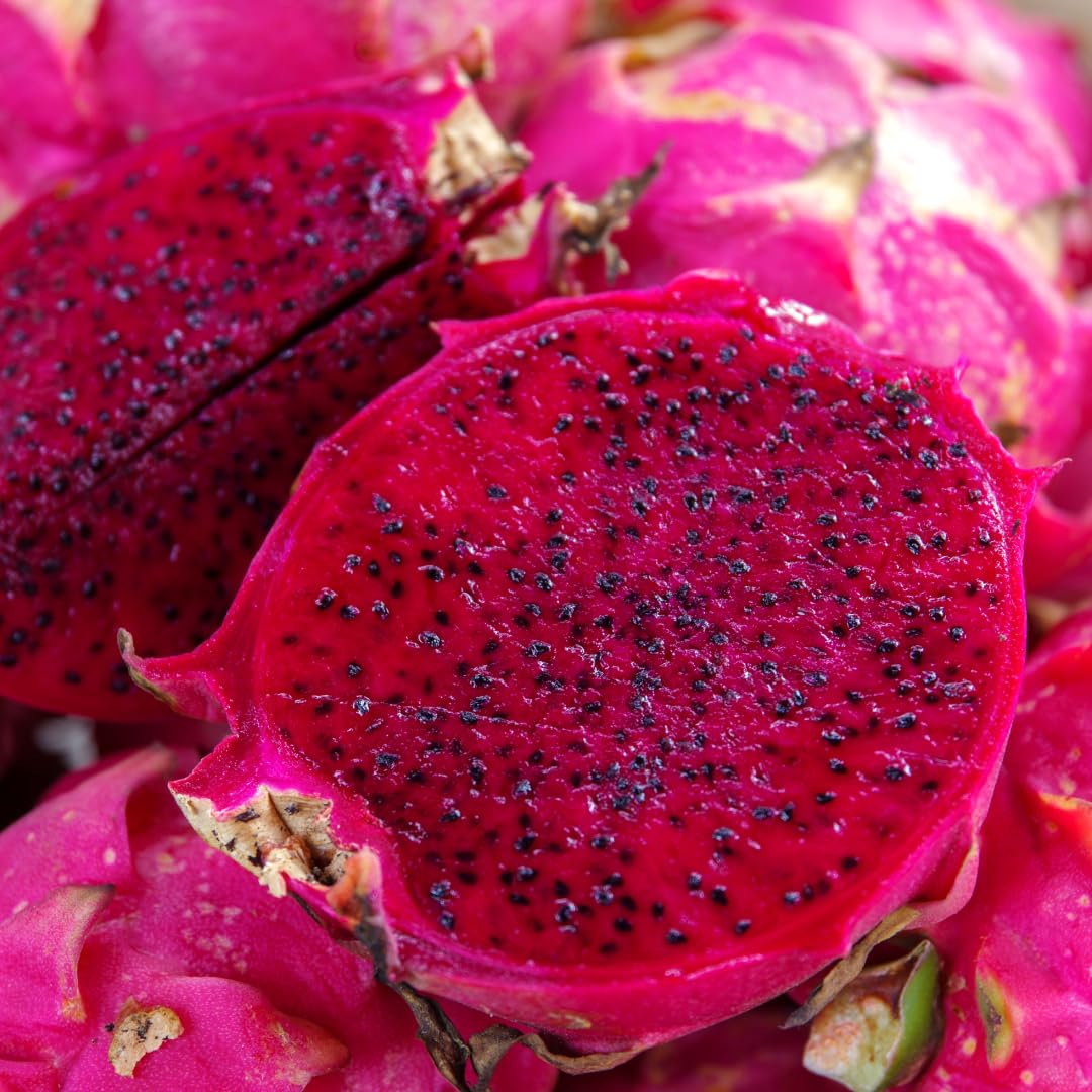 Live Red Dragon Fruit Plant, Sweet Dragon Fruit, 4 Inch Pot for Planting