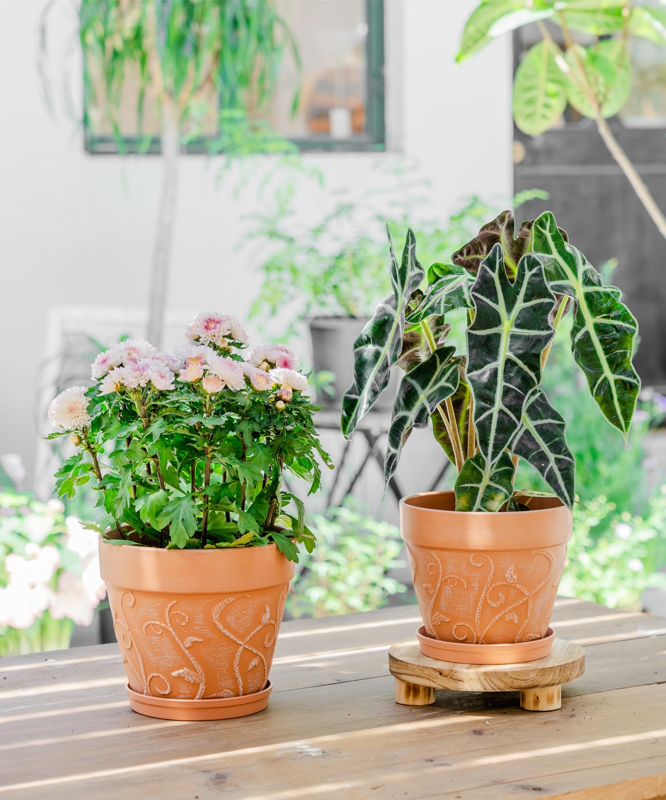 Melphoe Plant Pots Indoor with Drainage & Saucer, 2Pack 7/8 inch Flower Pots Outdoor Planters for Indoor Plants Garden Home Decor Cactus Succulent, Rigid Plastic (Imitation-Terracotta) Vine-Embossed