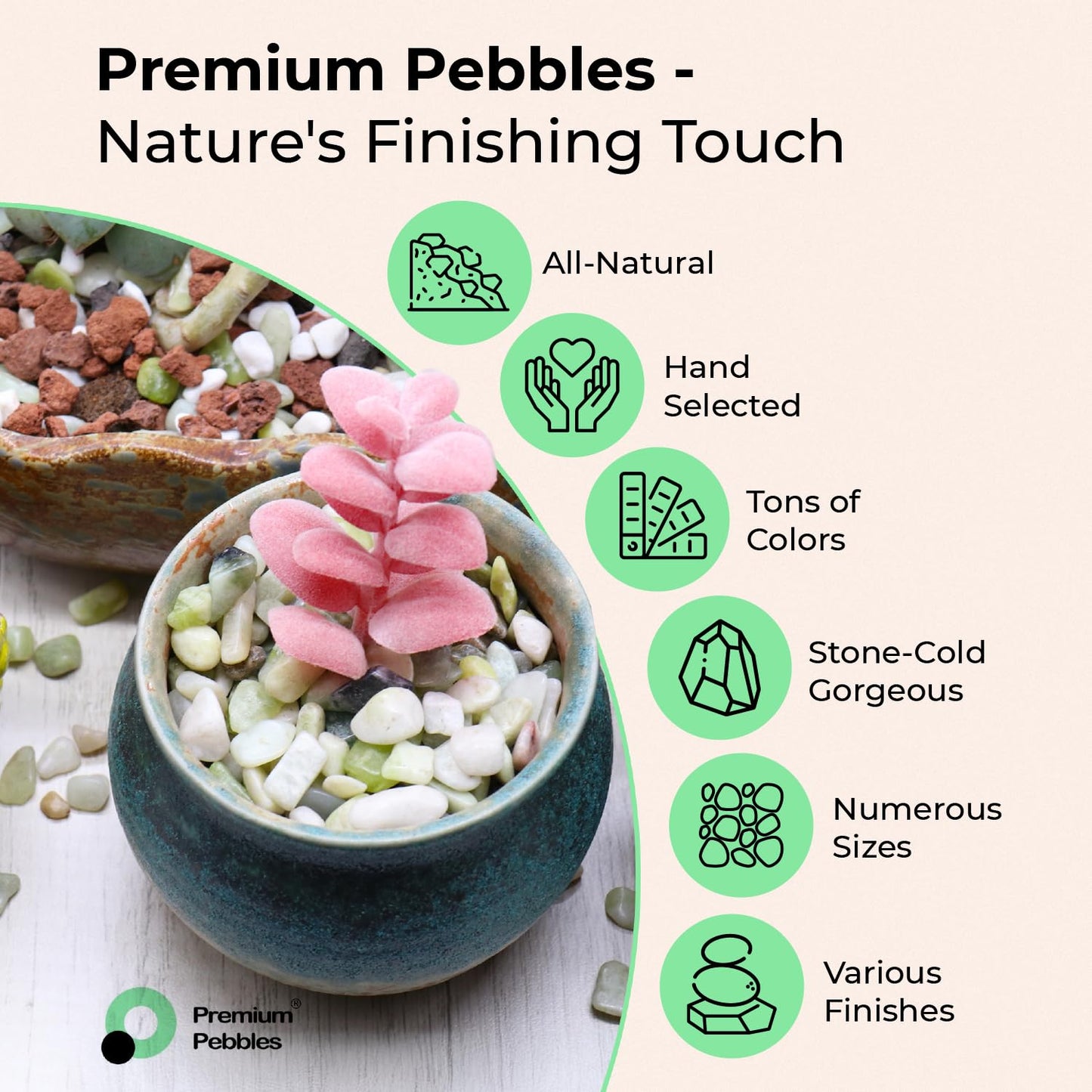 Premium Pebbles Rocks - Cream White Decorative Pebbles, 3/8 Inch - 10 lbs. Landscaping and Garden Stones, Suitable for Succulents and Pots