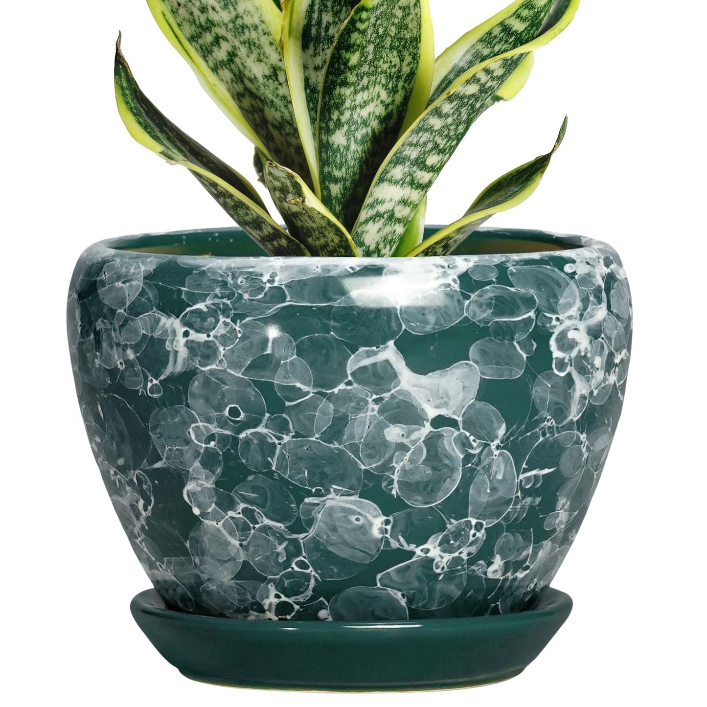 Thirtypot 6 Inch Planter - Ceramic Plant Pots Indoor with Drainage Hole and Saucer, Indoor Plant Pots for Flowers Plants, Round Modern Small Planter, Bedroom Decor, Plants Lover Gift, Bubble Green