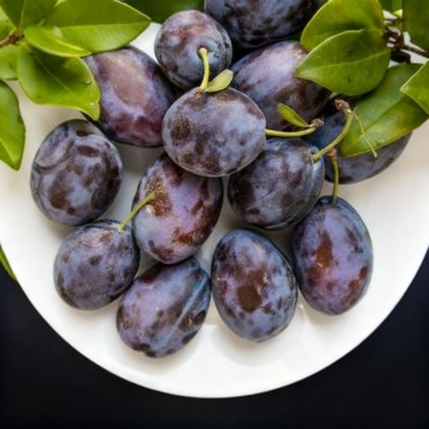 10 Prunus Domestica Seeds for Planting, Perennial Plum Fruit Tree Seed, Non-GMO Fruit Tree Seeds for Home Garden, Potted Decoration