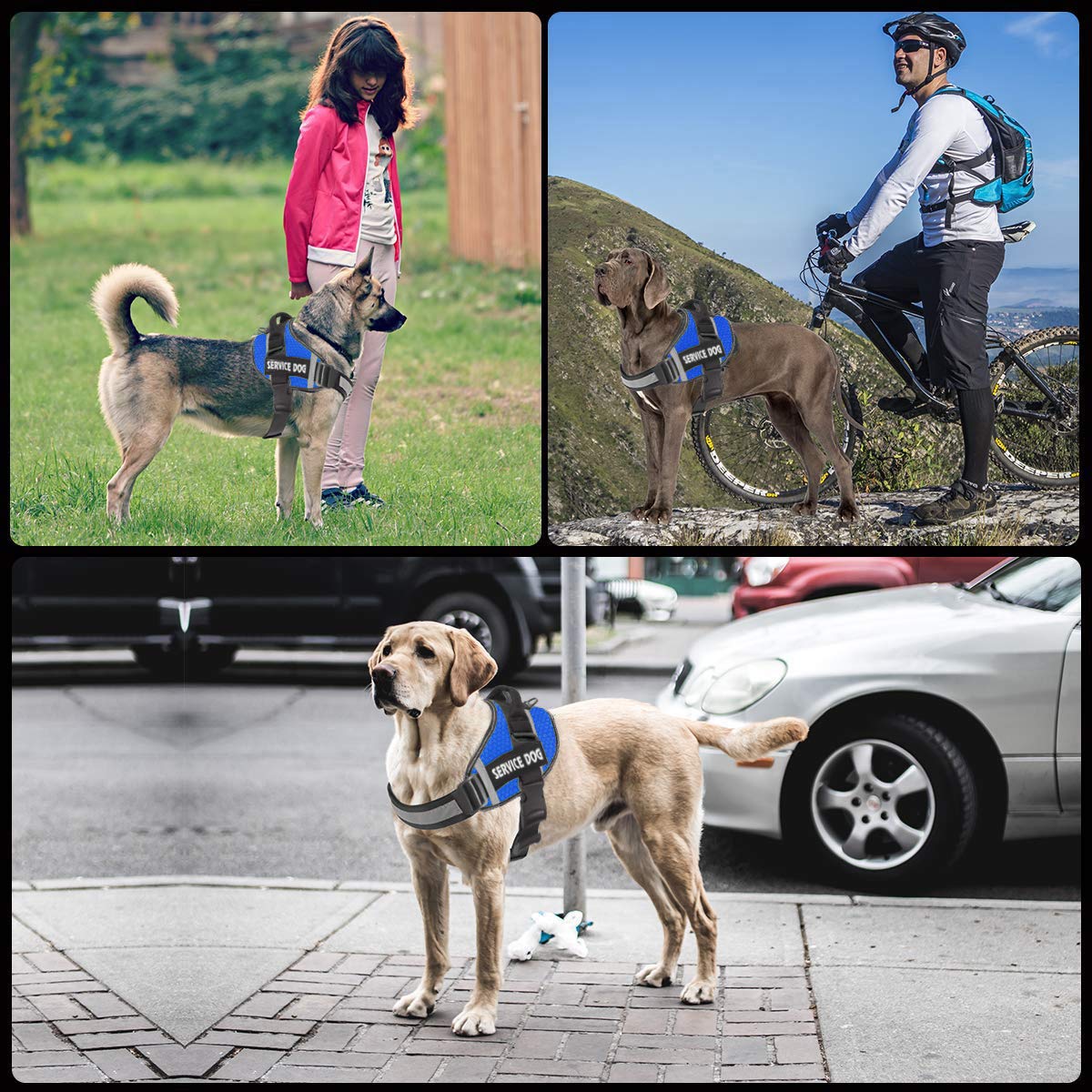 JSXD Dog Harness,No-Pull Service Dog Harness with Handle Adjustable Outdoor Pet Dog Vest 3M Reflective Nylon Material Vest for Breeds,Easy Control for Small Medium Large Dogs