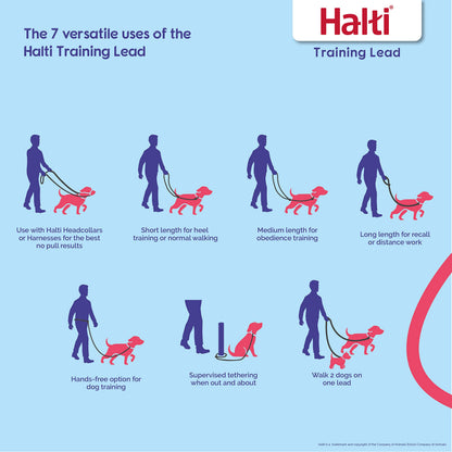 Halti Training Lead For Dogs, Double Ended Dog Training Lead for Halti Head Collar and No Pull Harness, Black Training Lead for Medium Dogs and Large Dogs, 14320B