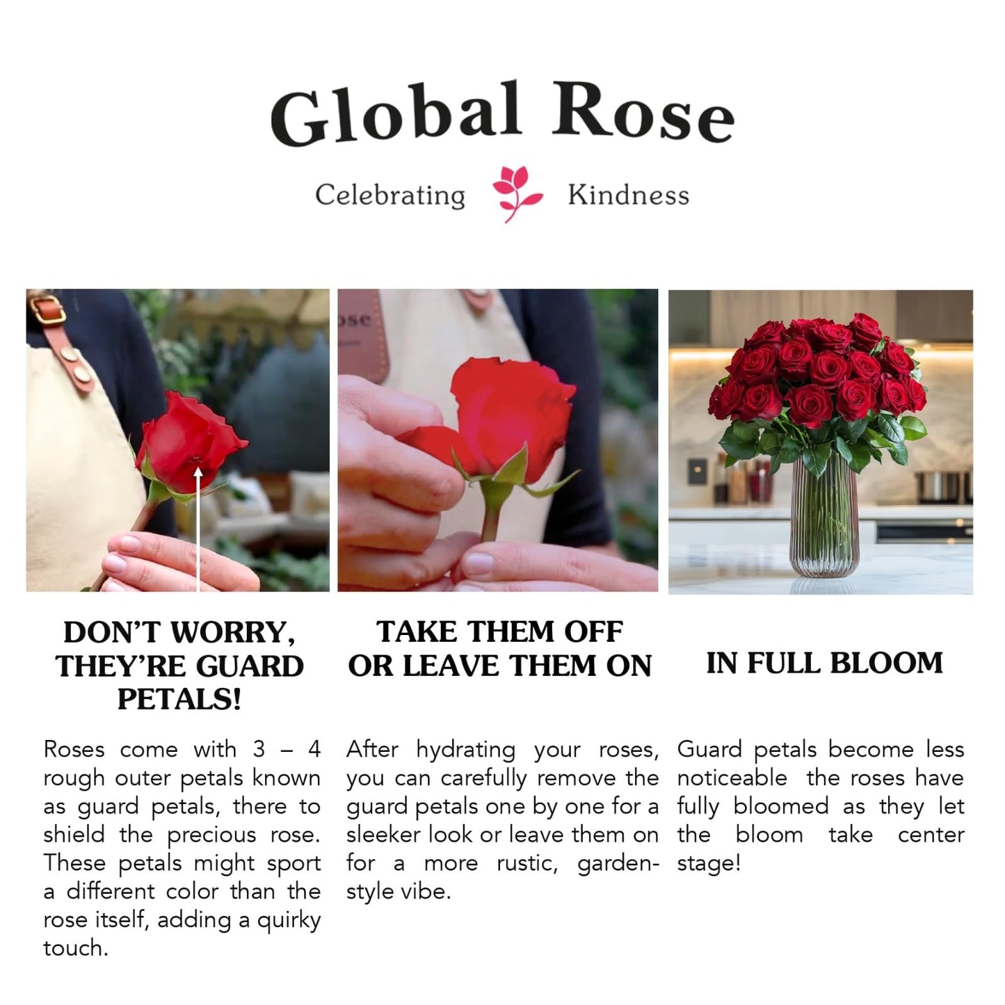 GlobalRose 100 White Roses Bouquet - Responsibly Sourced Roses Fresh Flowers - Hand-Picked Flowers Fresh Bouquet for Graduation, Anniversary, Birthday & Special Occasions (4 Bunches of 25 Stems)