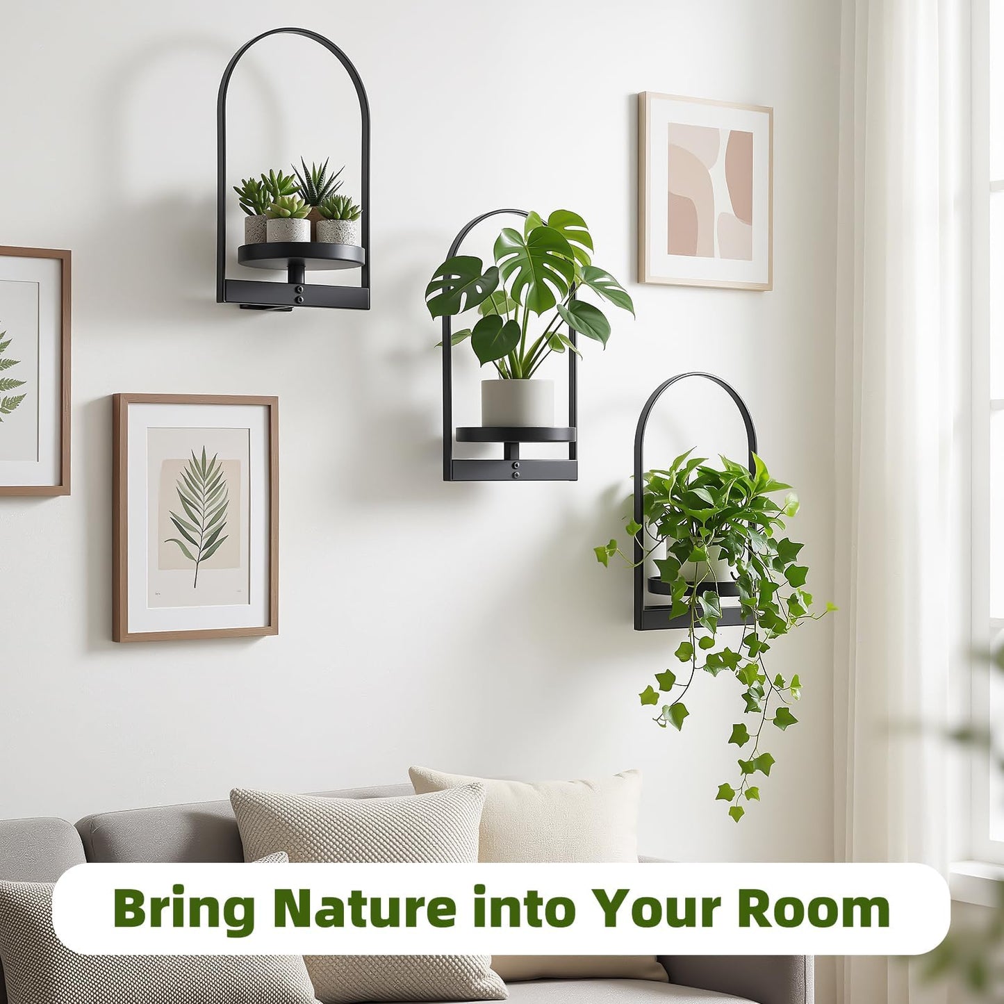 3 Pack Wall Plant Holder for Indoor Plants, Metal Wall Mounted Plant Shelf for Small Pots, Modern Arch Hanging Wall Planter Display with Hooks, Plant Frame Wall Decor for Living Room, Bedroom, Black