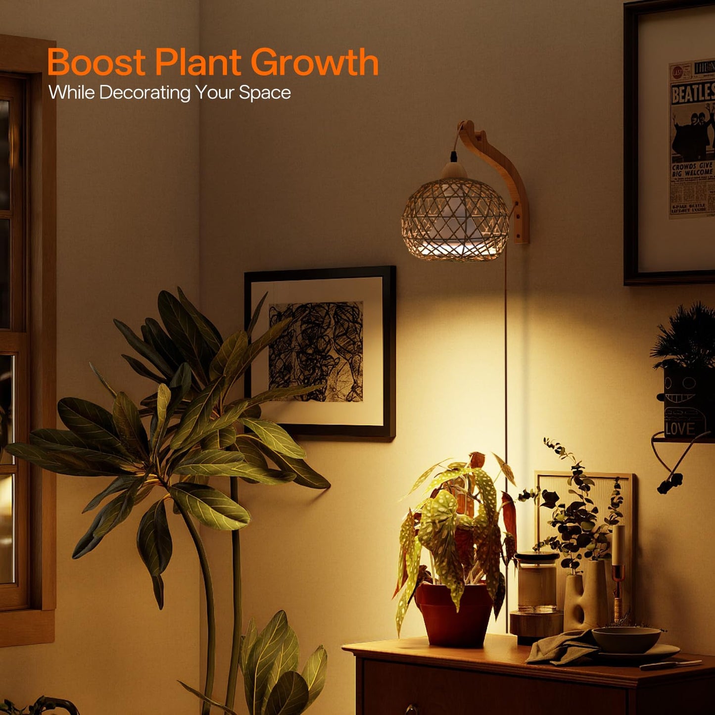 Bstrip Hanging Grow Lights for Indoor Plants, 18W Full Spectrum Plant Light, Boho Rattan Lantern Shade, 3800K Wall-Mounted Decorative Grow Light with 9.8FT Power Cord for Indoor Plant Growing, Flowers