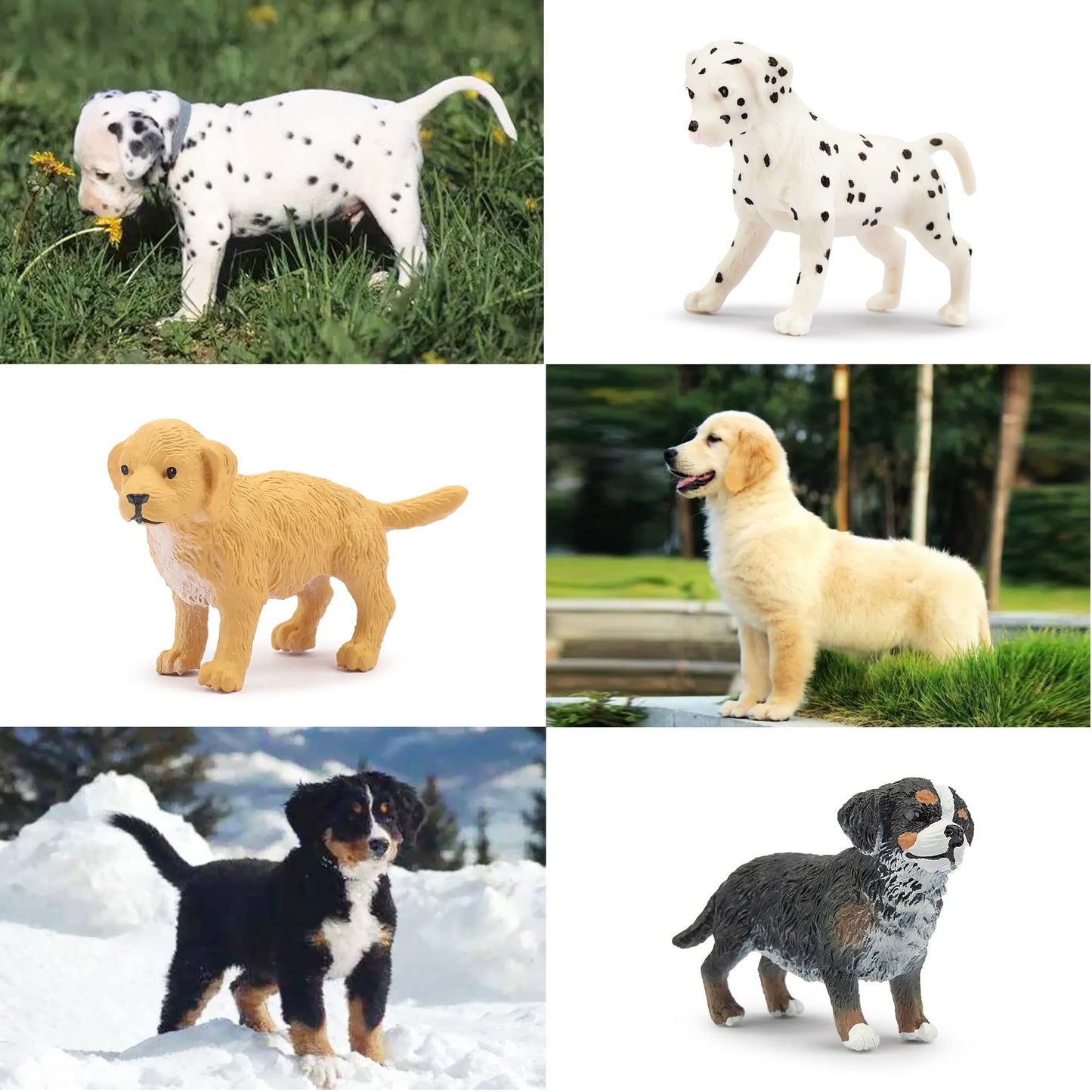 Toymany 12PCS Mini Dog Figurines Playset, Realistic Detailed Plastic Puppy Figures, Hand Painted Emulational Tiny Dogs Animals Toy Set, Cake Toppers Christmas Birthday Gift for Kids Toddlers