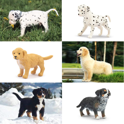 Toymany 12PCS Mini Dog Figurines Playset, Realistic Detailed Plastic Puppy Figures, Hand Painted Emulational Tiny Dogs Animals Toy Set, Cake Toppers Christmas Birthday Gift for Kids Toddlers