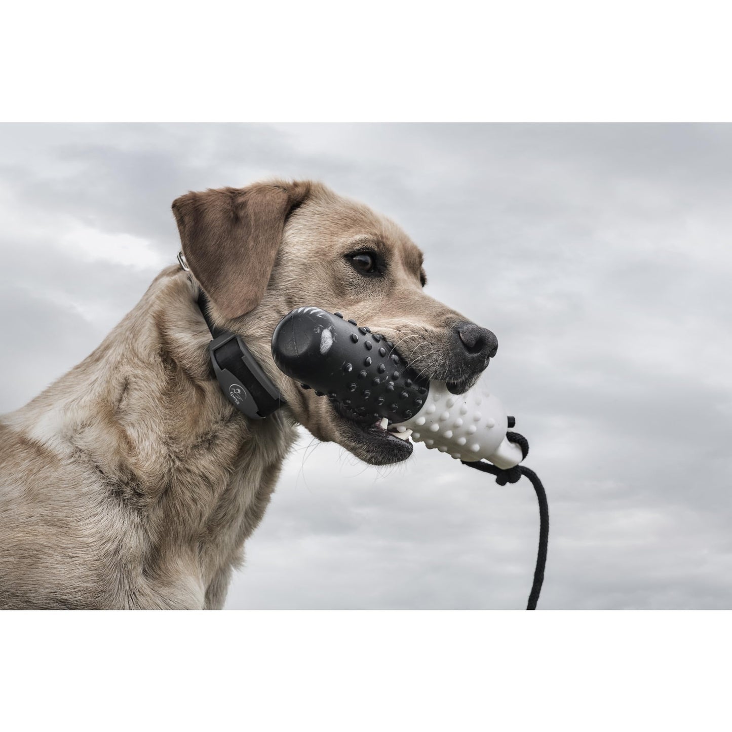 SportDOG Brand FieldTrainer 425X Remote Trainer - 500 Yard Range - Waterproof, Rechargeable Dog Training Collar with Static, Vibrate, and Tone
