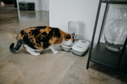 Cat Mate C200 Automatic 2 Meal Timer-Controlled Pet Feeder (401) - For Cats and Small Dogs, Includes Ice Pack for Wet and Dry Food, Meals up to 400 g Each, White