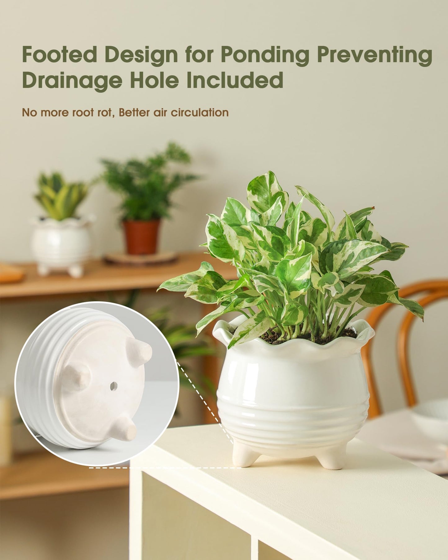 Fayoula Ceramic Planter, 2 Piece Ceramic Planter Set with Drainage Hole for Home and Office, Indoor Plant Potting, Suitable for Succulents, Bonsai, Snake Grass and Money Tree, etc. (White)