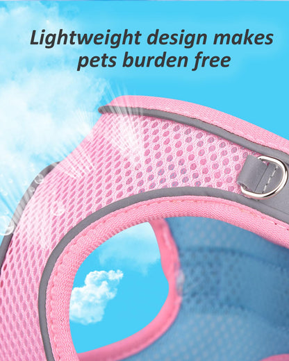 Solmoony Soft Mesh Dog Harness and Leash Set for Small Medium Dogs, Step in Adjustable with Padded Vest (XS, Green)