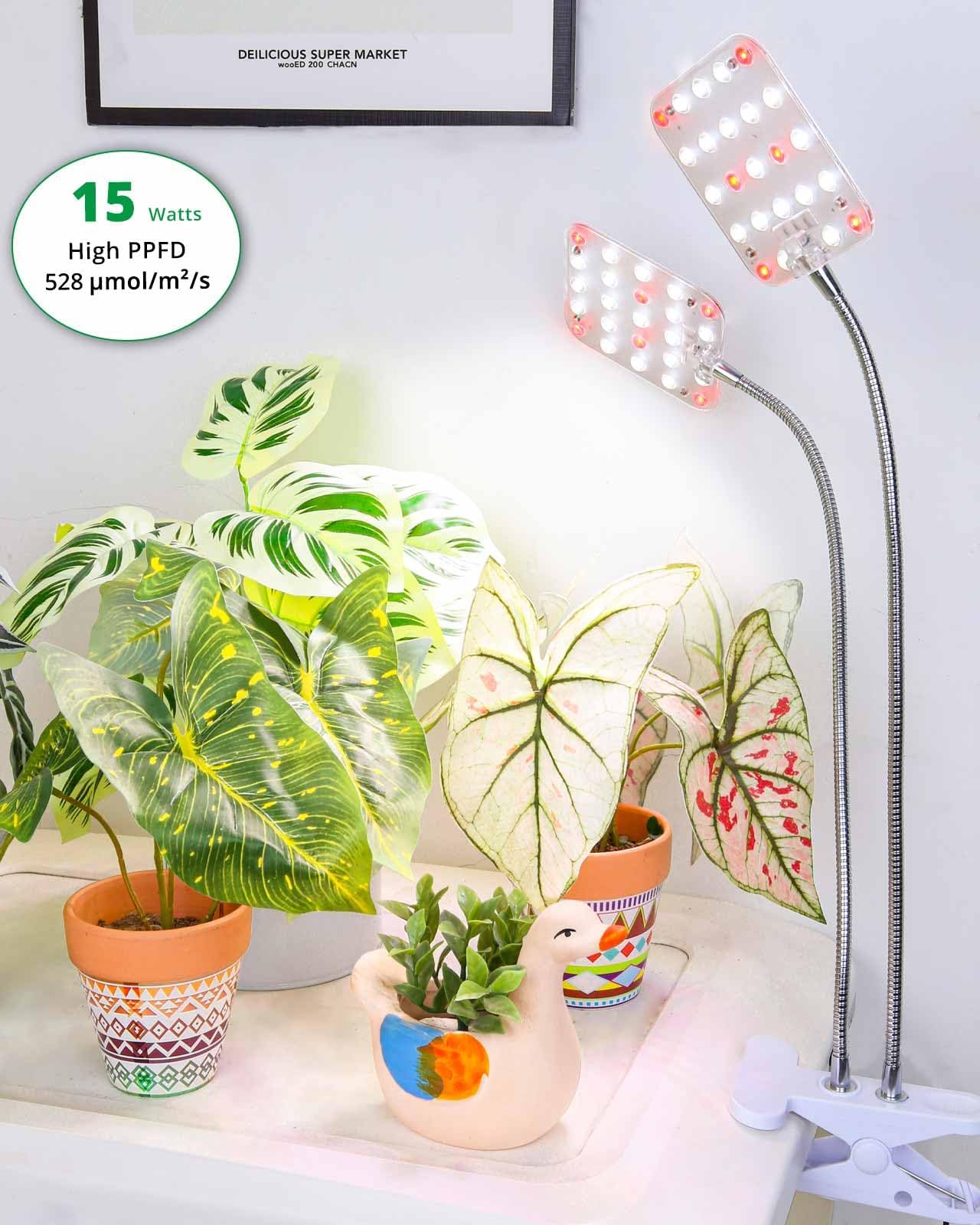 DOMMIA Plant Light, Dimmable Desk Clip on Plant Light for Indoor Plants with 6/12/16h Timer, Gooseneck Grow Lamps, Full Spectrum for Seeding, Succulent, Potted Plants, 2-Head