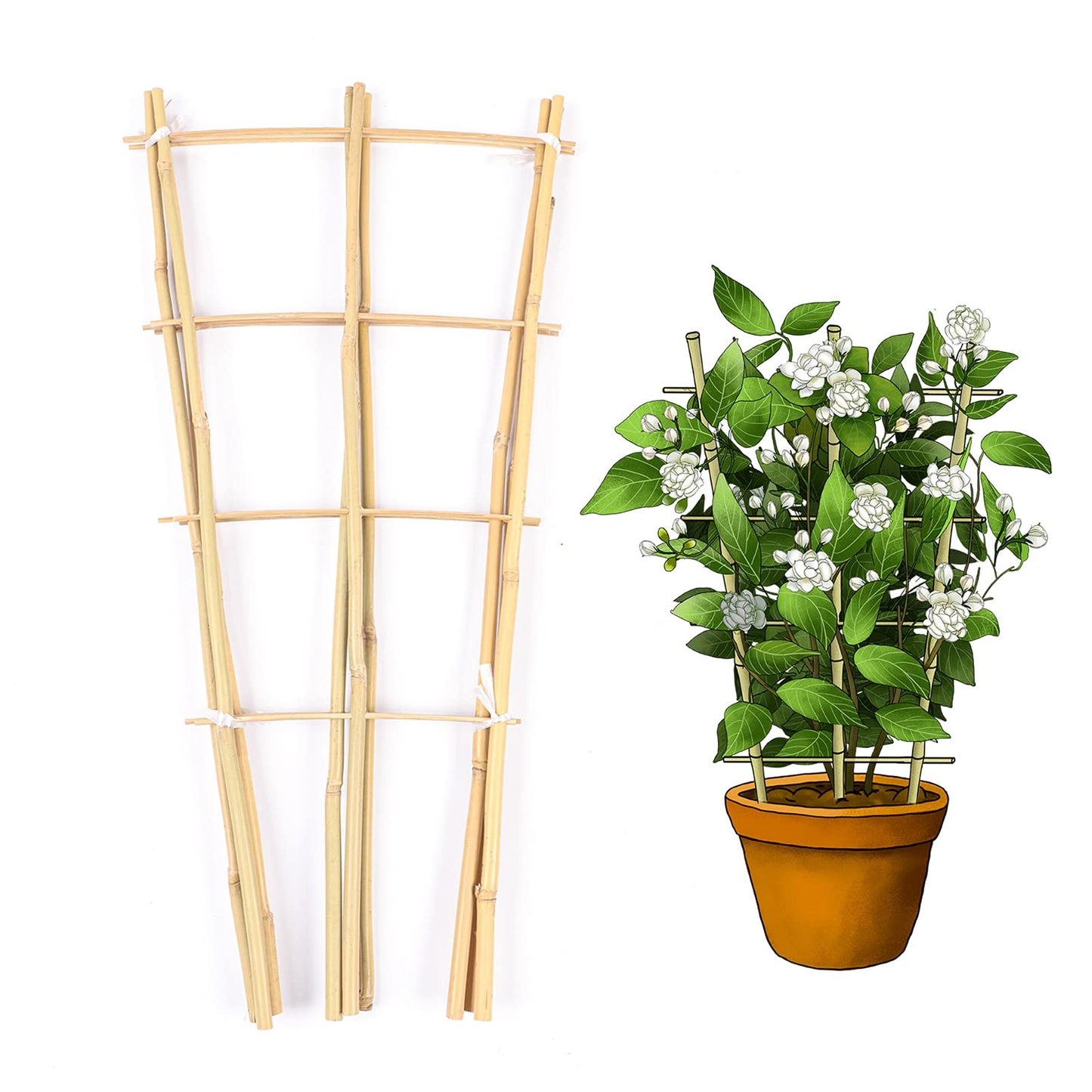 Cambaverd Trellis for Climbing Plants Indoor Outdoor, Natural Bamboo Trellis 24 Inch, 3 Pack Garden Trellis for Potted Plants, Ivy, Monstera, Houseplants