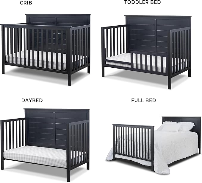Sorelle Furniture Ashley Crib, Classic 4-in-1 Convertible Pannel Crib, Baby