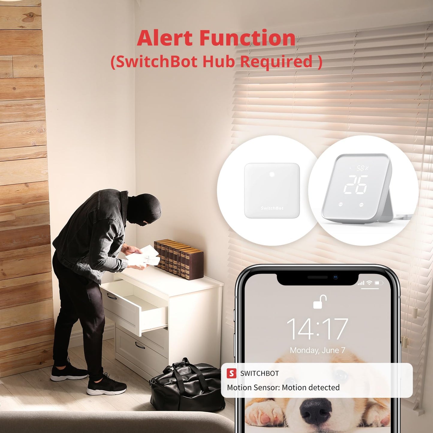 Smart Motion Door Sensor - Wireless PIR Motion Detector for Home Security, Compatible with Alexa, Google Assistant & Apple Home via SwitchBot Hub, Easy Installation, Real-Time Alerts (2025-White)