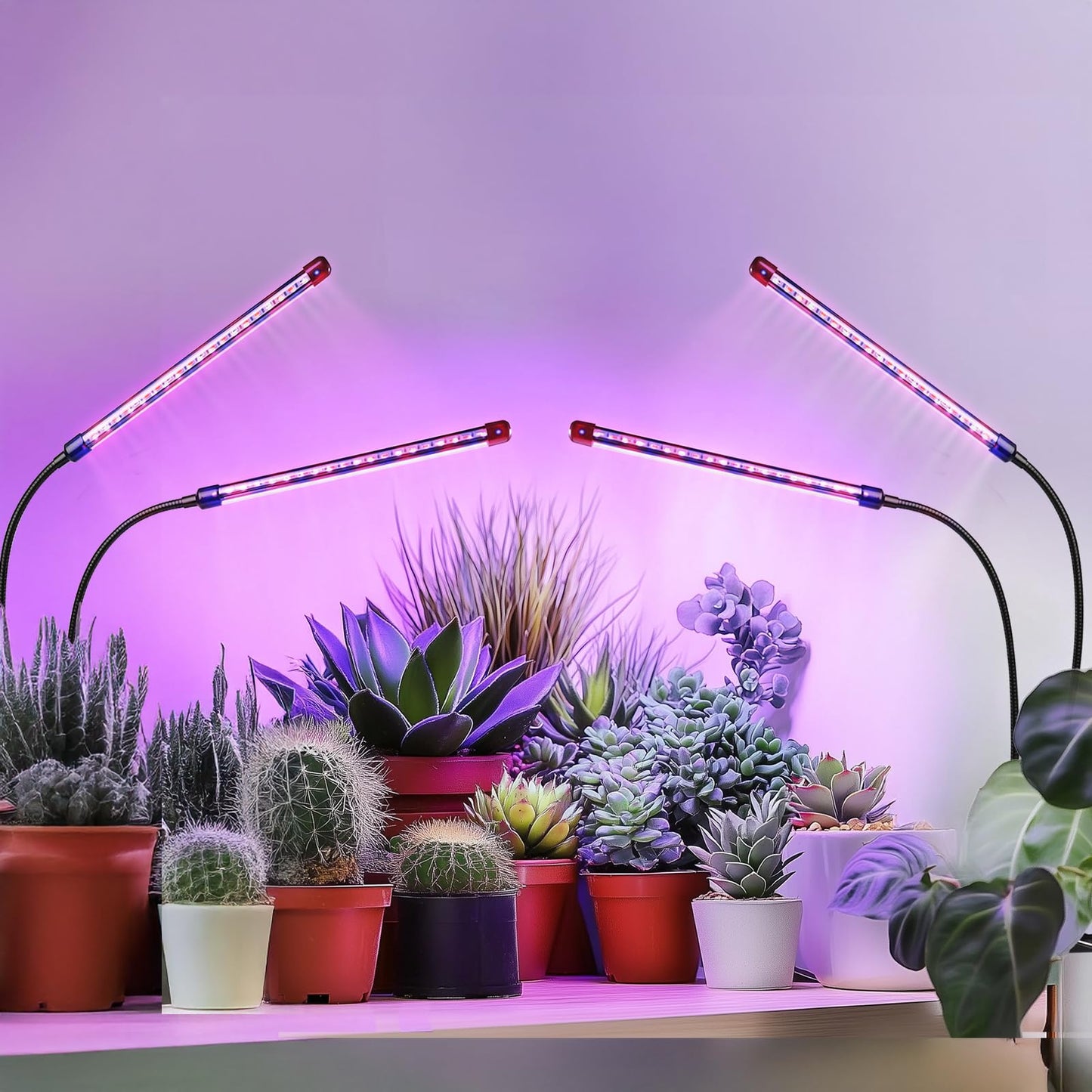 Grow Lights for Indoor Plants - Red & Blue Spectrum LED Plant Light with Auto 3/9/12H Timer, 10 Dimmable Levels & Sturdy Gooseneck - Ideal for Herbs, Succulents, Houseplants in Home/Office