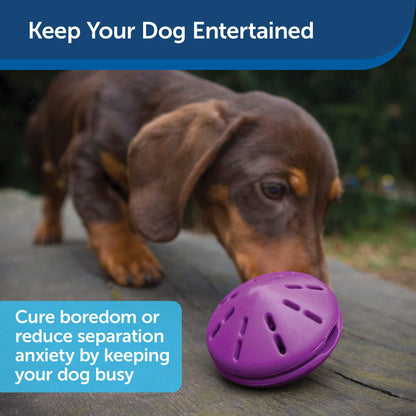 PetSafe Busy Buddy Twist 'n Treat Dispensing Dog Toy - Small