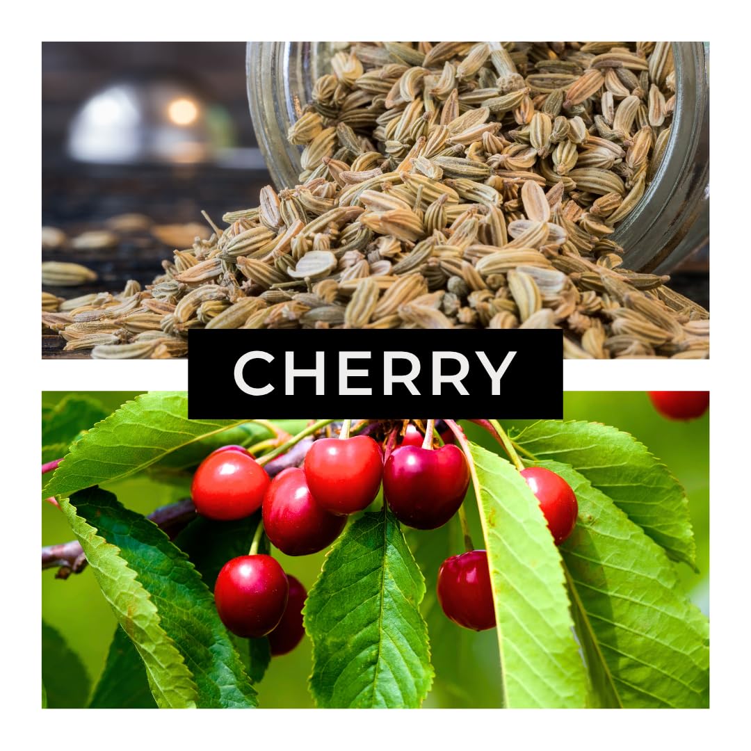 20 Bonsai Dwarf Cherry Tree Seeds | Indoor or Outdoor Fruit Tree | Made in USA, Ships from Iowa