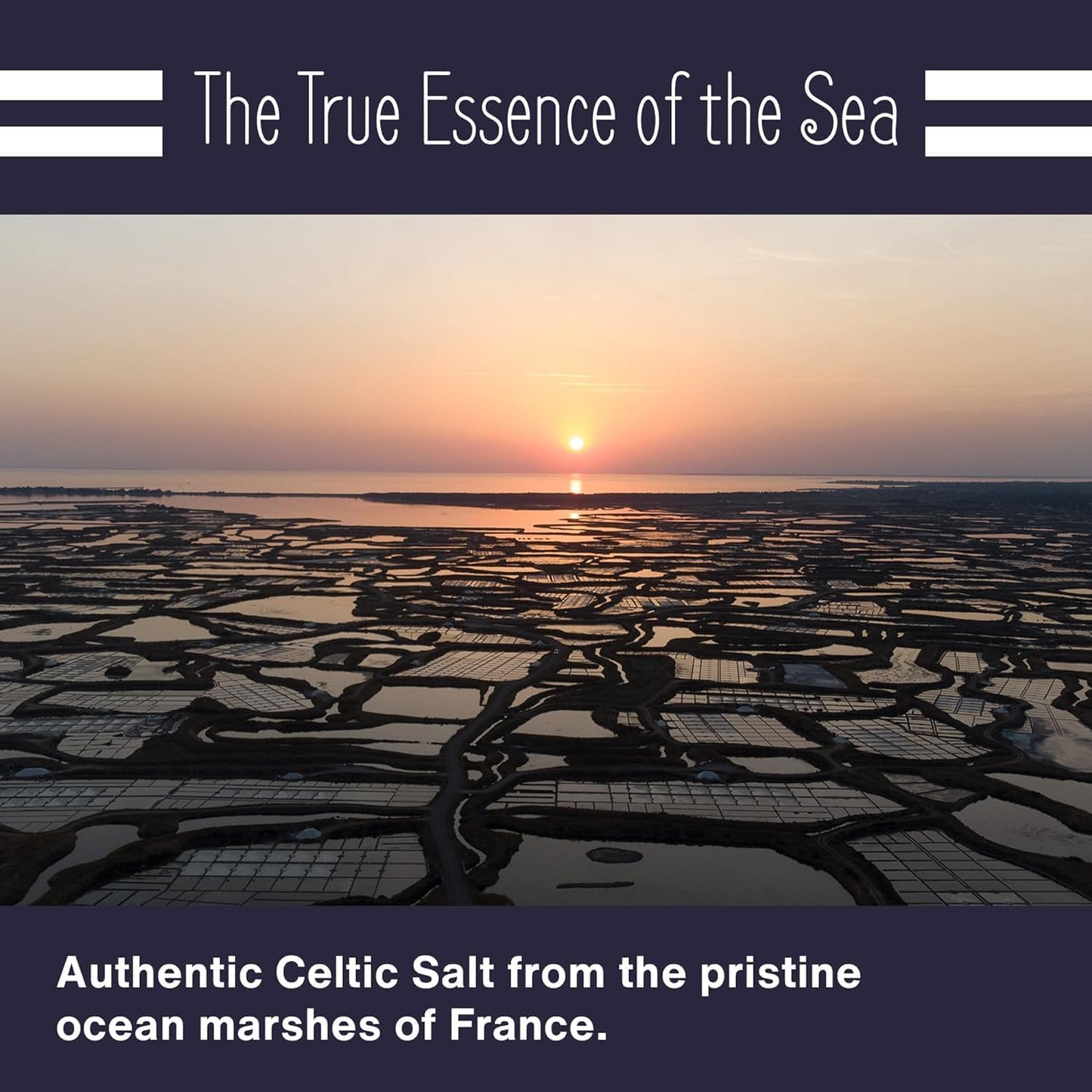 Le Marinier Celtic Salt Organic Fine Ground, 1 lb - 16oz. Mineral Rich 100% Natural and Unrefined. Refillable Salt Shaker. French Sea Salt with Vital Minerals. Hand Harvested (1 lb Fine Ground)