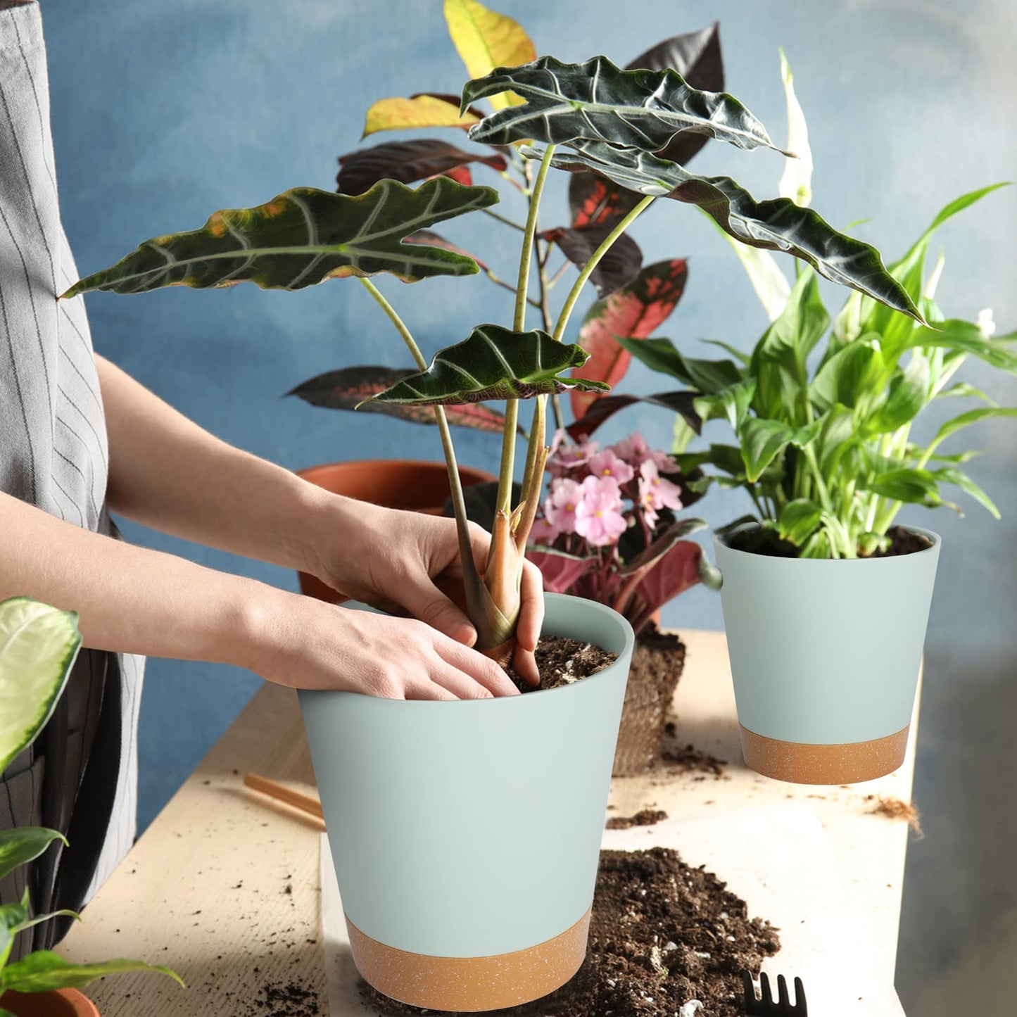 GARDIFE Plant Pots 7/6.5/6/5.5/5 Inch Self Watering Planters with Drainage Hole, Plastic Flower Pots, Nursery Planting Pot for All House Plants, African Violet, Flowers, and Cactus,Green