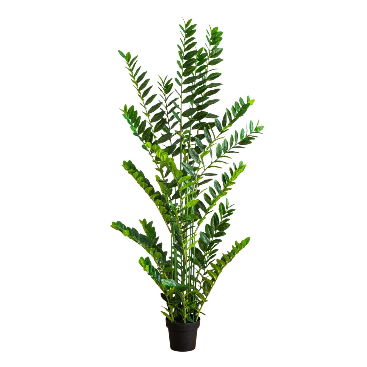 Nearly Natural 6ft Artificial Zamioculcas Plant - Realistic Faux Plant for Home Decor - Premium Materials - Bendable Branches - Year-Round Greenery - Nursery Planter Included