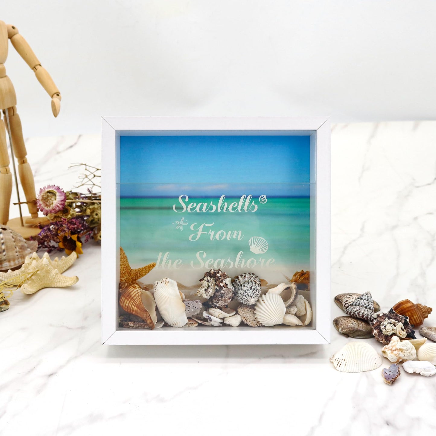 FramePro 8"x8" Seashell Holder Display case-Seashells Agates Shark Teeth Starfish Trinke, Seashell Collection Box Decorative Shadow Box with Real Glass ,Wall Mount or Tabletop (White)