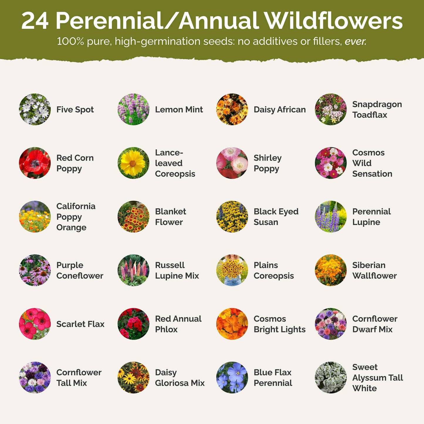 Eden Brothers Southeast Wildflower Mixed Seeds for Planting, 1 lb, 480,000+ Seeds with Cornflower, Blanket Flower | Attracts Pollinators, Plant in Spring or Fall, Zones 3, 4, 5, 6, 7, 8, 9, 10