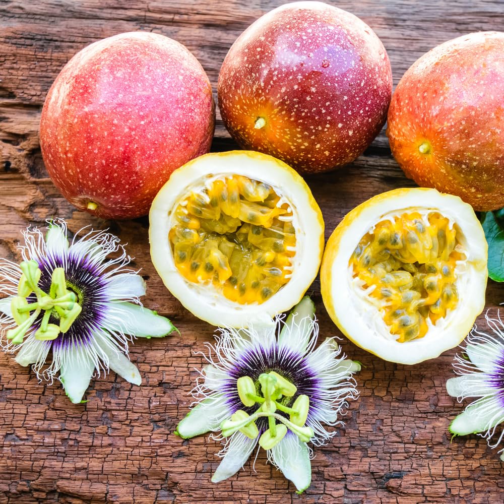 Passionfruit Plant, Passion Fruit Vine 5-8'' Tall, Hardy Fruit Tree Live for Home Gardens and Containers Planting (Purple Passionfruit)
