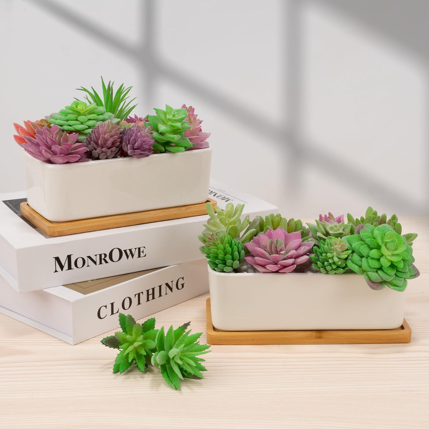 Leismy 2 PCS Succulent Pot Cactus Containers White Ceramic Planter with Drainage Hole and Removable Tray Small Plant Pots for Home Office Decor Bonsai Container for Indoor Outdoor Plants (Rectangle)