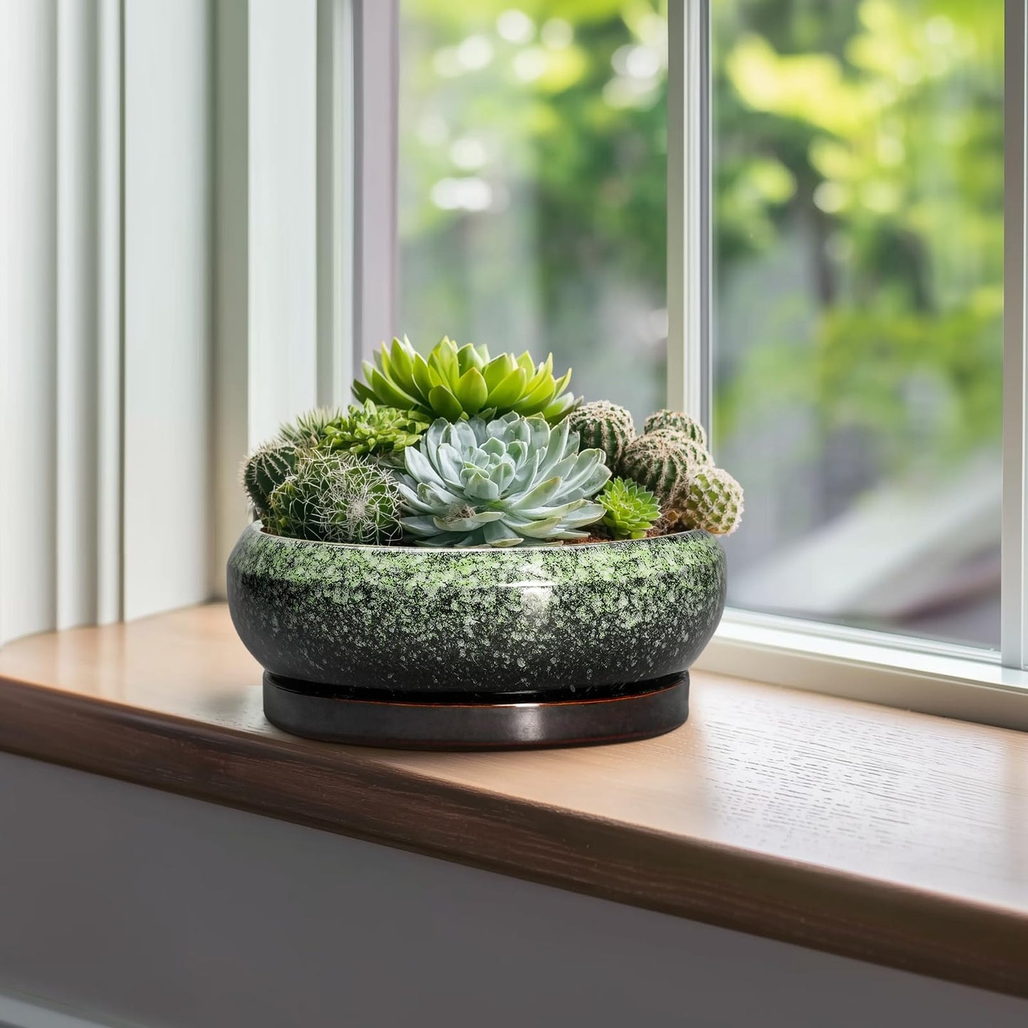 EPFamily Bonsai Pots 10 Inch - Ceramic Pots for Plants Indoor Outdoor, Succulent Pot with Drainage Hole and Saucer, Large Bonsai Planter, Round Shallow Planter, Office Decor, Gardening Gift, Green