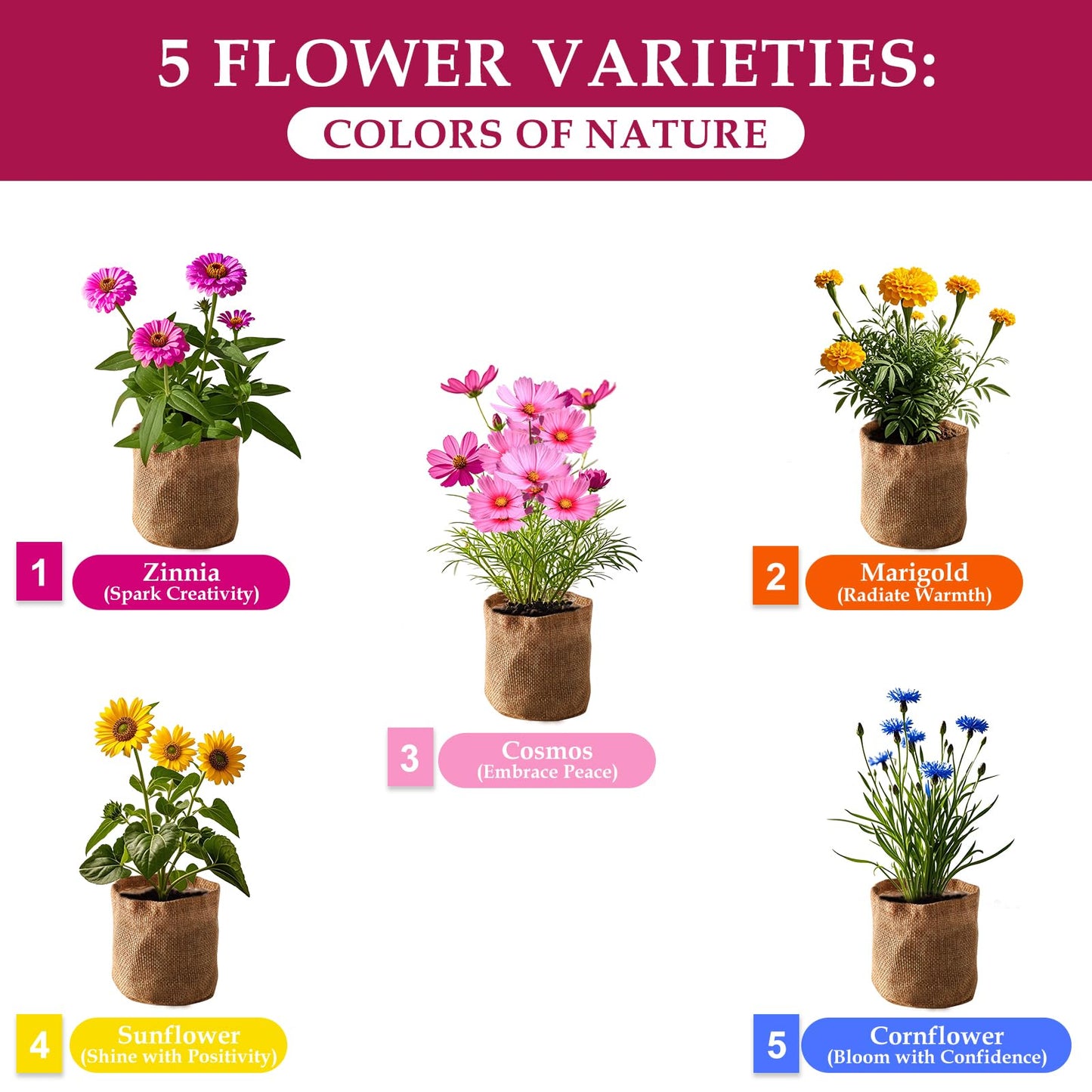 5 Indoor Flowers Growing Kit for Beginners, Complete Planting Starter Set with Zinnia, Cosmos, Sunflower, Marigold, Cornflower Seeds, Unique Gardening Gifts for Women & Men