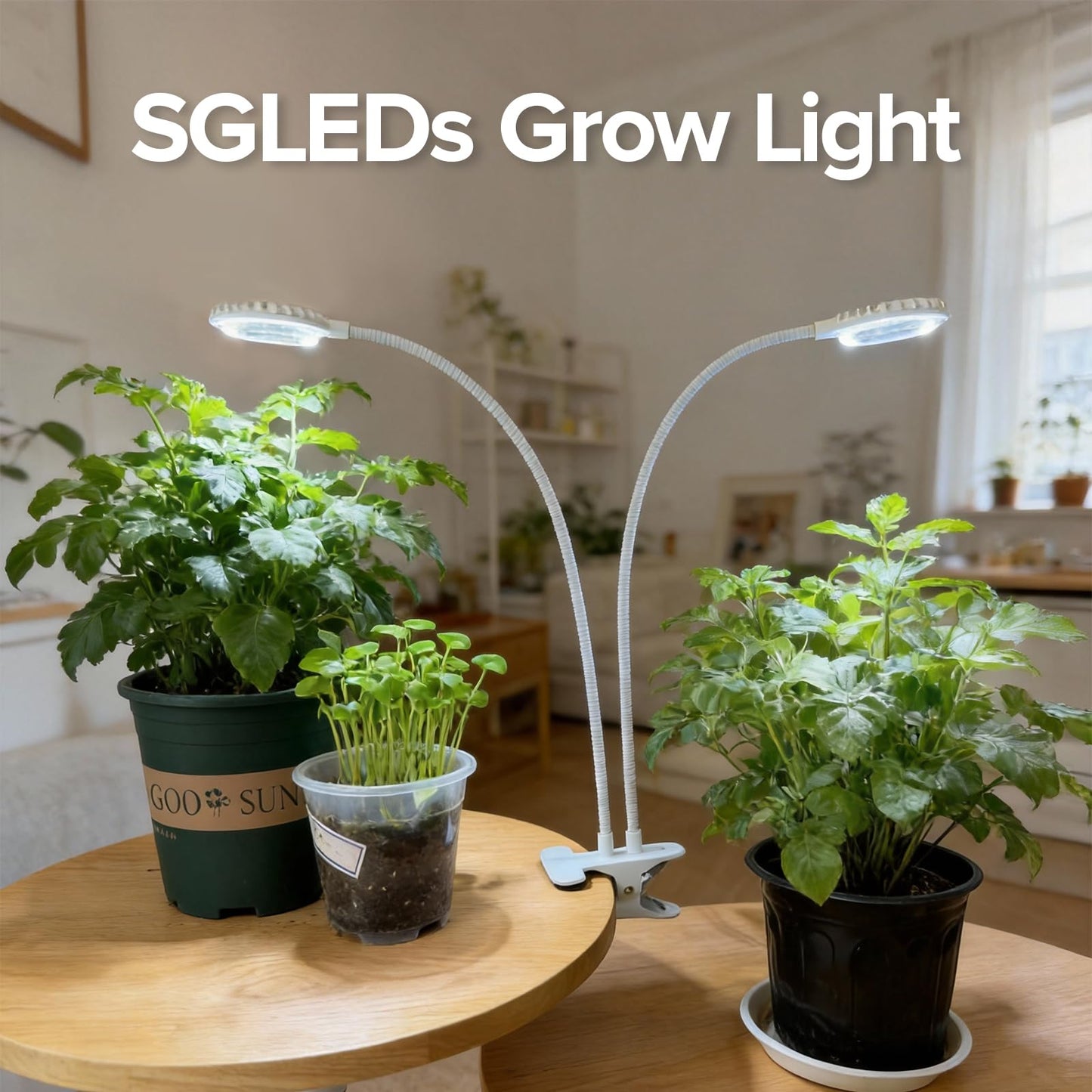 Dual Head Clip Plant Grow Light with Timer, 22W Full Spectrum Adjustable Light, 3/6/12H Auto On/Off, 10 Dimmable Levels, Flexible Gooseneck for Indoor Plants