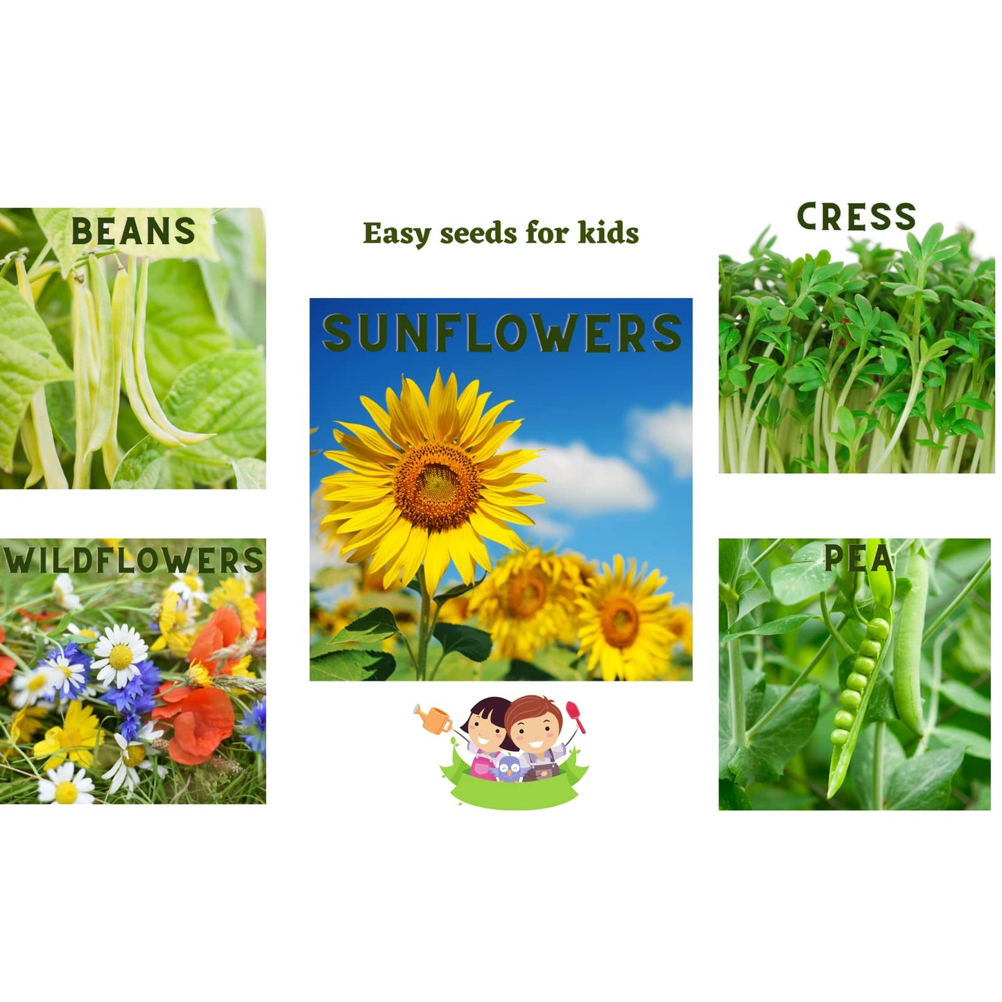 Kids Gardening Set, Grow Your own kit for Children, Wildflower Seeds, Sunflower Seeds, Birthday Gift for Kids, Garden Set for Kids, Seed Kits for Kids, Childrens Gardening Set, (Kids Gardening Set)