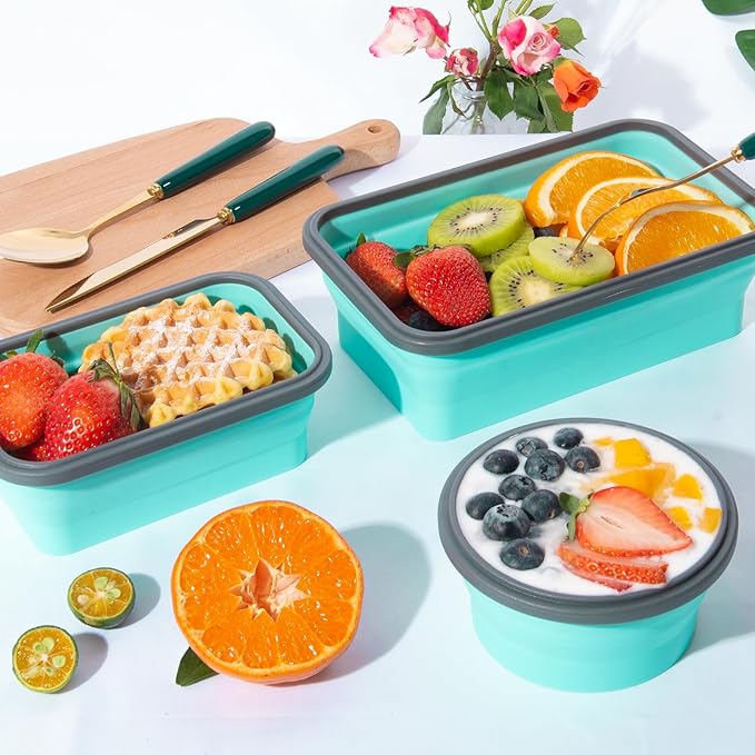 Sudaya 4 Pack Collapsible Food Storage Containers