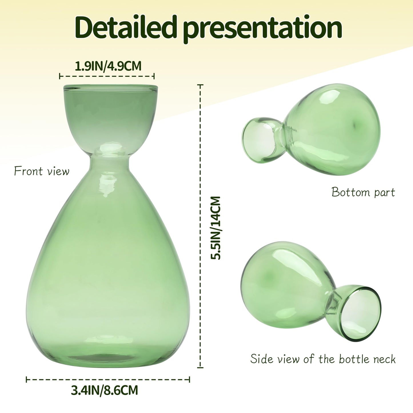 CYZglass Avocado Vase Avocado Seed Starter Vases Trees Live Plants Growing kit Glass 2pc