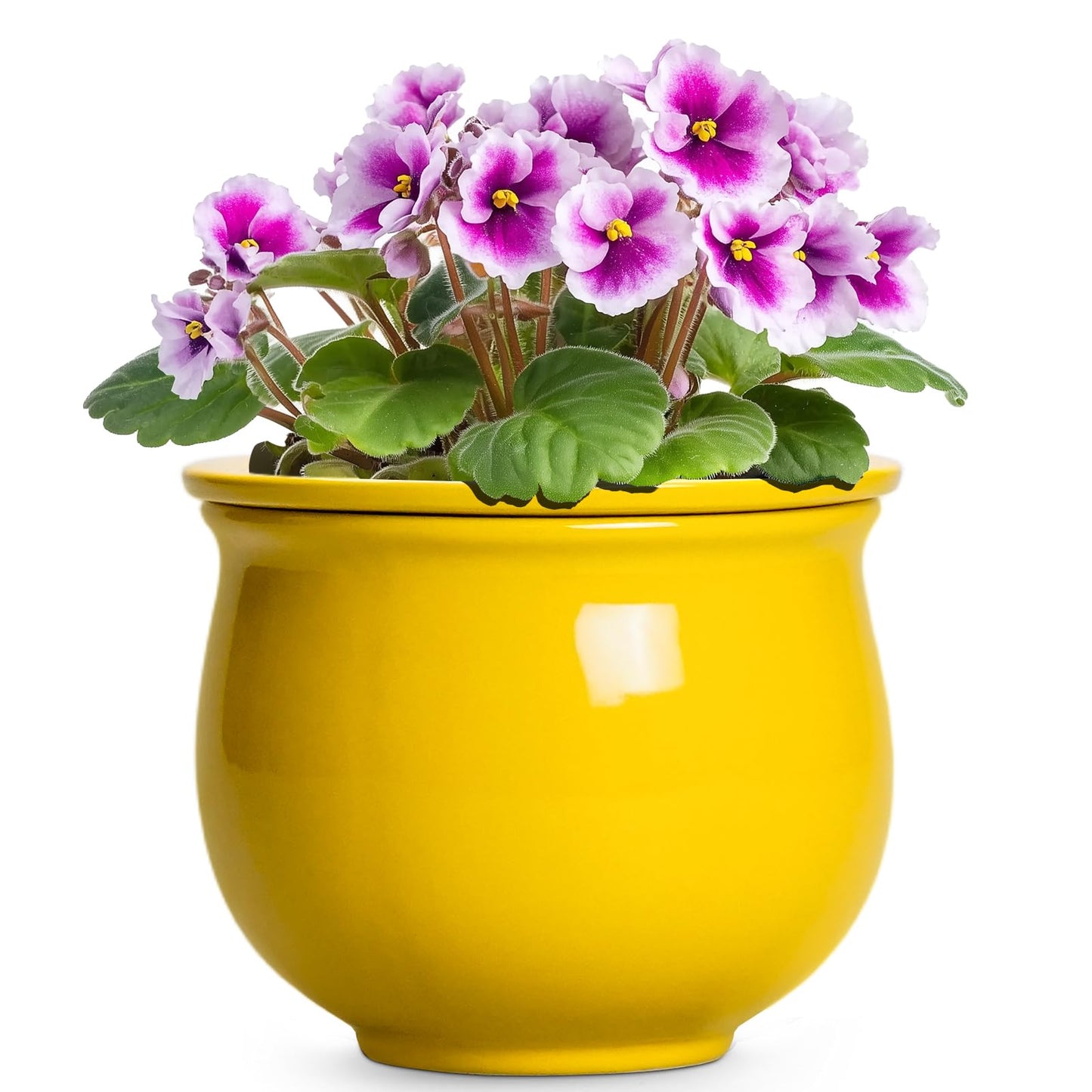 Teagas Ceramic Self Watering Planters, 6 Inch African Violet Pots for Indoor Outdoor Plants, Ceramic Plant Pot with Absorbent Inner Pot, Round Flower Pots, Living Room Decor, Gifts for Women, Yellow